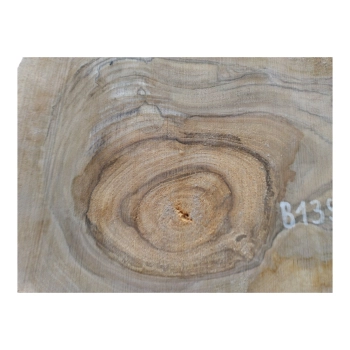 Plaster Orzecha Włoskiego 55x34x5cm