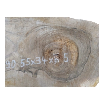 Plaster Orzecha Włoskiego 55x34x5cm