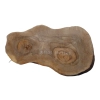 Plaster Orzecha Włoskiego 54x33x5cm