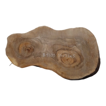 Plaster Orzecha Włoskiego 54x33x5cm
