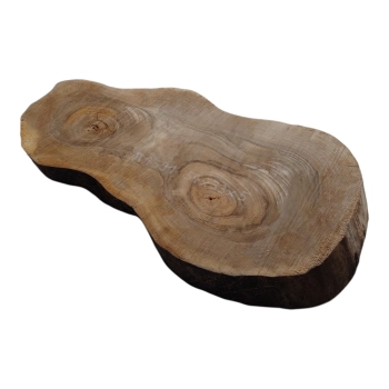 Plaster Orzecha Włoskiego 54x33x5cm
