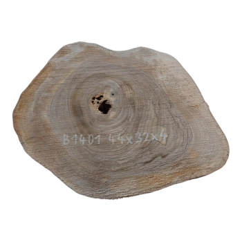 Plaster Orzecha Włoskiego 44x32x4cm