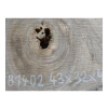 Plaster Orzecha Włoskiego 43x32x4cm