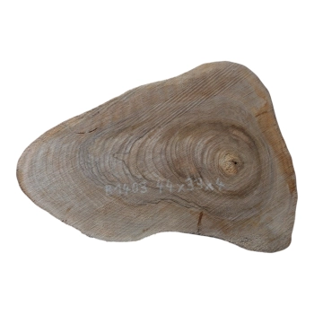 Plaster Orzecha Włoskiego 44x33x4cm