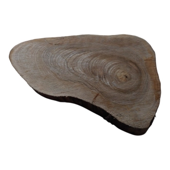 Plaster Orzecha Włoskiego 44x33x4cm
