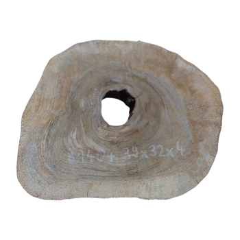 Plaster Orzecha Włoskiego 39x32x4cm