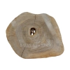 Plaster Orzecha Włoskiego 41x33x4cm