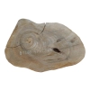 Plaster Orzecha Włoskiego 47x29x4cm