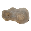 Plaster Orzecha Włoskiego 54x33x5cm