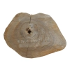 Plaster Orzecha Włoskiego 44x32x4cm