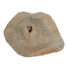 Plaster Orzecha Włoskiego 43x32x4cm