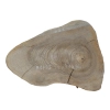 Plaster Orzecha Włoskiego 44x33x4cm