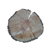 Plaster Gruszy 34x31x4cm