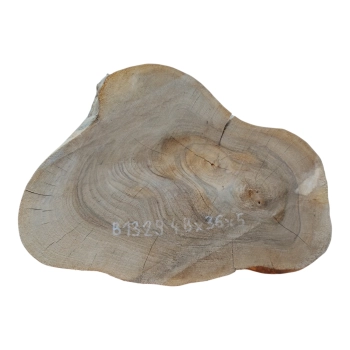 Plaster Orzecha Włoskiego 48x36x5cm