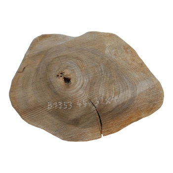 Plaster Orzecha Włoskiego 44x32x4cm