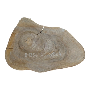 Plaster Orzecha Włoskiego 46x32x4cm