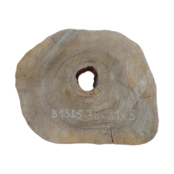Plaster Orzecha Włoskiego 38x31x5cm