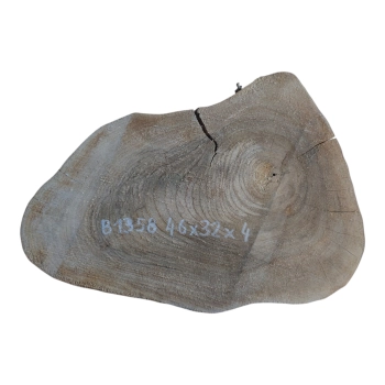 Plaster Orzecha Włoskiego 46x32x4cm