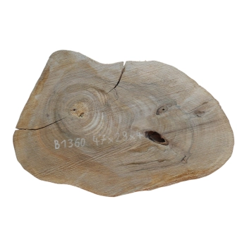 Plaster Orzecha Włoskiego 47x29x4cm