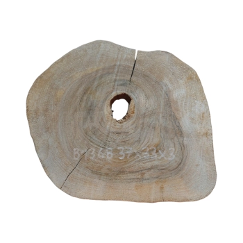 Plaster Orzecha Włoskiego 37x33x3cm
