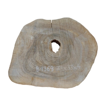 Plaster Orzecha Włoskiego 37x33x4cm