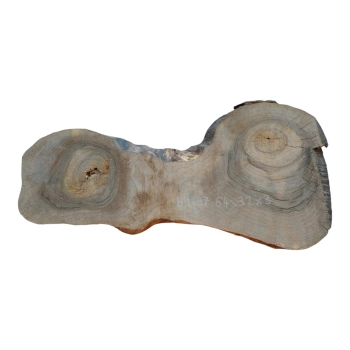 Plaster Orzecha Włoskiego 64x32x3cm