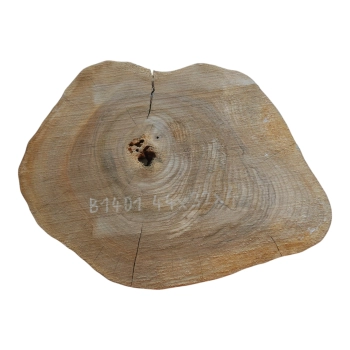 Plaster Orzecha Włoskiego 44x32x4cm