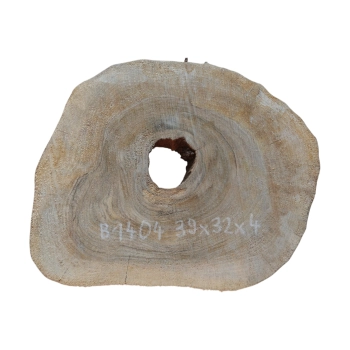 Plaster Orzecha Włoskiego 39x32x4cm
