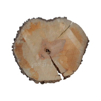 Plaster Gruszy 37x31x4cm