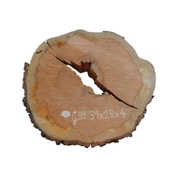Plaster Gruszy 31x28x4cm