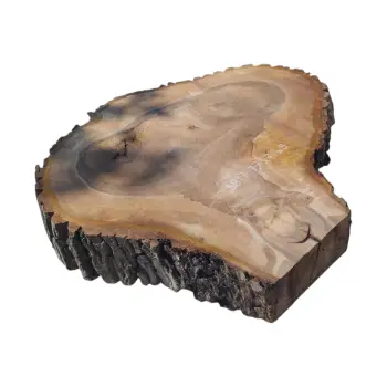 Plaster Orzecha Włoskiego po Suszarni 77x70x9cm