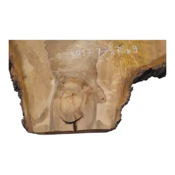 Plaster Orzecha Włoskiego po Suszarni 77x70x9cm