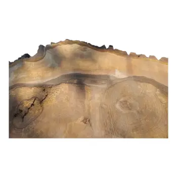 Plaster Orzecha Włoskiego po Suszarni 77x70x9cm