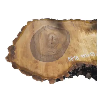 Plaster Orzecha Włoskiego po Suszarni 103x59x8cm