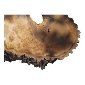 Plaster Orzecha Włoskiego po Suszarni 103x59x8cm