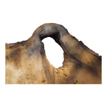 Plaster Orzecha Włoskiego po Suszarni 103x59x8cm