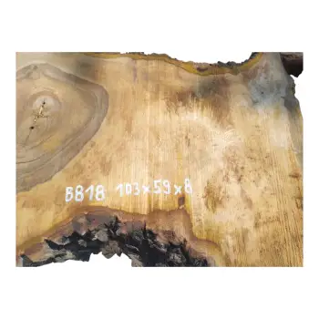 Plaster Orzecha Włoskiego po Suszarni 103x59x8cm