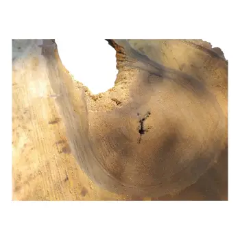 Plaster Orzecha Włoskiego po Suszarni 103x59x8cm