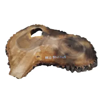 Plaster Orzecha Włoskiego po Suszarni 90x67x8cm