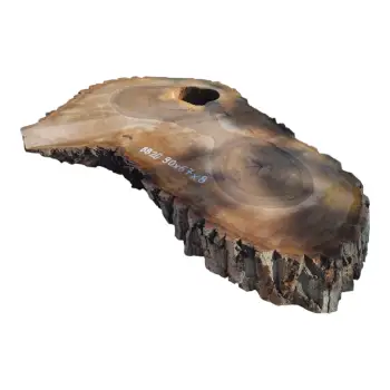 Plaster Orzecha Włoskiego po Suszarni 90x67x8cm