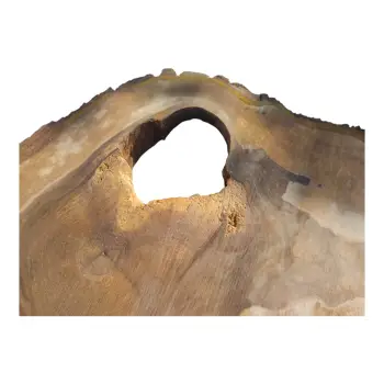 Plaster Orzecha Włoskiego po Suszarni 90x67x8cm