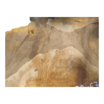 Plaster Orzecha Włoskiego po Suszarni 90x67x8cm