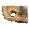 Plaster Orzecha Włoskiego po Suszarni 90x67x9cm