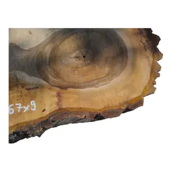 Plaster Orzecha Włoskiego po Suszarni 90x67x9cm