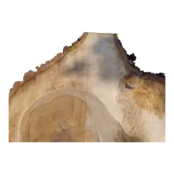Plaster Orzecha Włoskiego po Suszarni 90x67x9cm