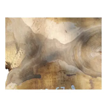 Plaster Orzecha Włoskiego po Suszarni 90x67x9cm