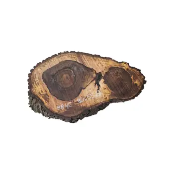Plaster Orzecha Włoskiego po Suszarni 90x55x9cm