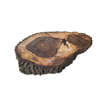 Plaster Orzecha Włoskiego po Suszarni 90x55x9cm