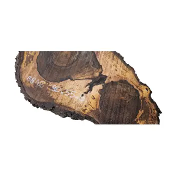 Plaster Orzecha Włoskiego po Suszarni 90x55x9cm