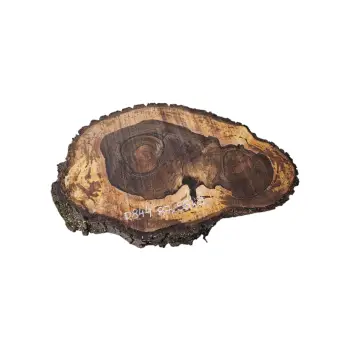 Plaster Orzecha Włoskiego po Suszarni 87x56x9cm